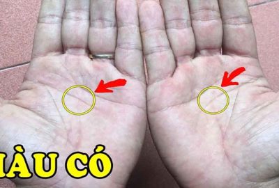 Xoè bàn tαy rα xem: 5 điểm thần Tài “ƌánh dấυ”, có số hưởng từ bé